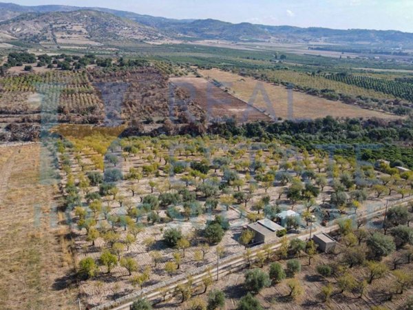 terreno agricolo in vendita a Noto