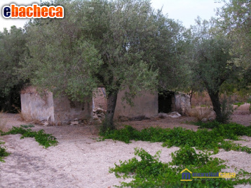 terreno agricolo in vendita a Noto