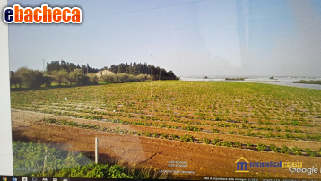 terreno agricolo in vendita a Noto