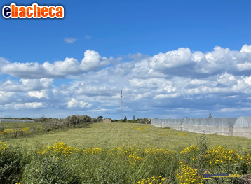 terreno agricolo in vendita a Noto