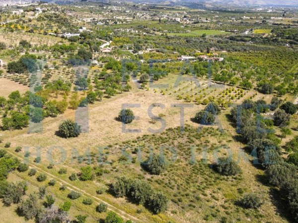terreno agricolo in vendita a Noto