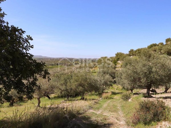 terreno agricolo in vendita a Noto