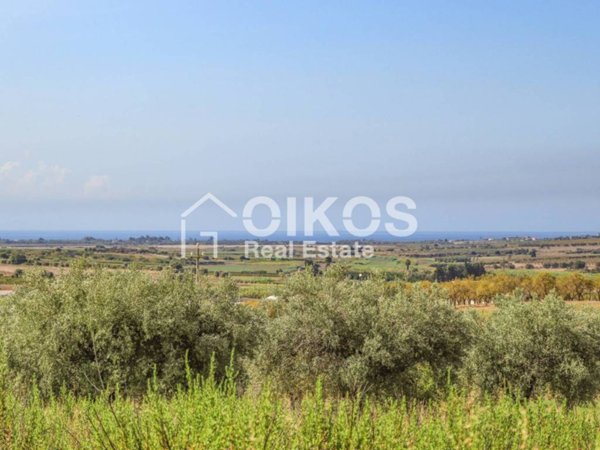 terreno agricolo in vendita a Noto