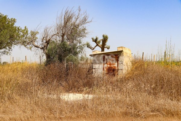 terreno agricolo in vendita a Noto