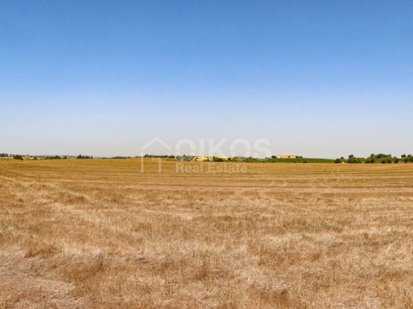 terreno agricolo in vendita a Noto