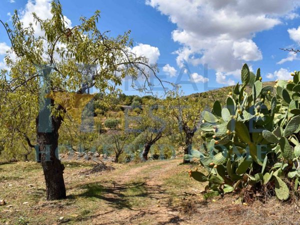 casa indipendente in vendita a Noto
