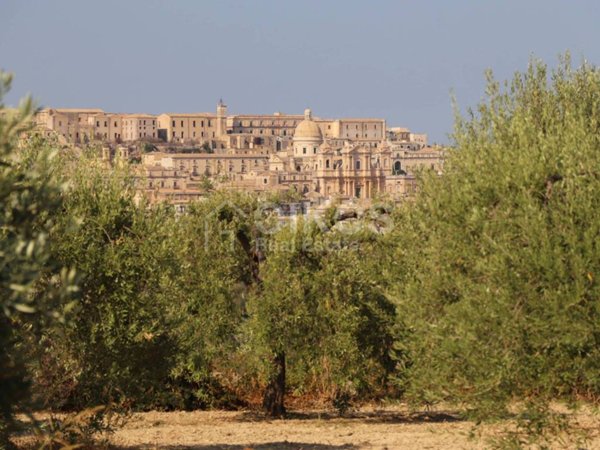 terreno agricolo in vendita a Noto in zona Madonna Marina