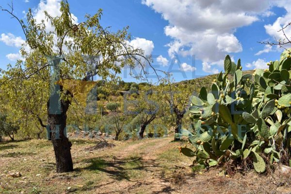 casa indipendente in vendita a Noto