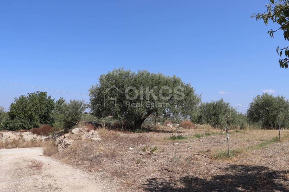 terreno agricolo in vendita a Noto