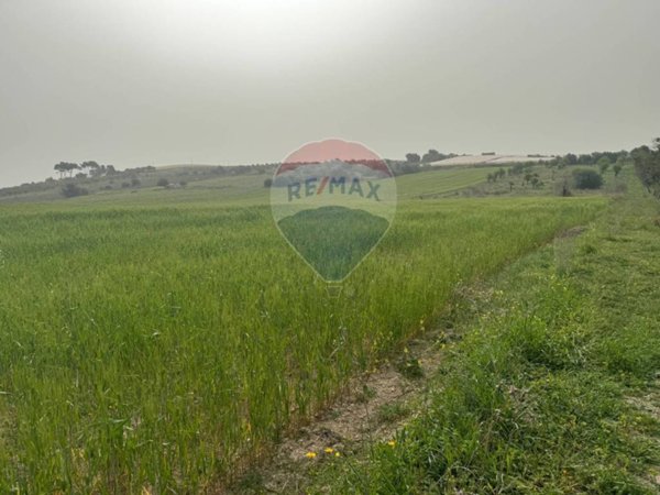 terreno agricolo in vendita a Noto