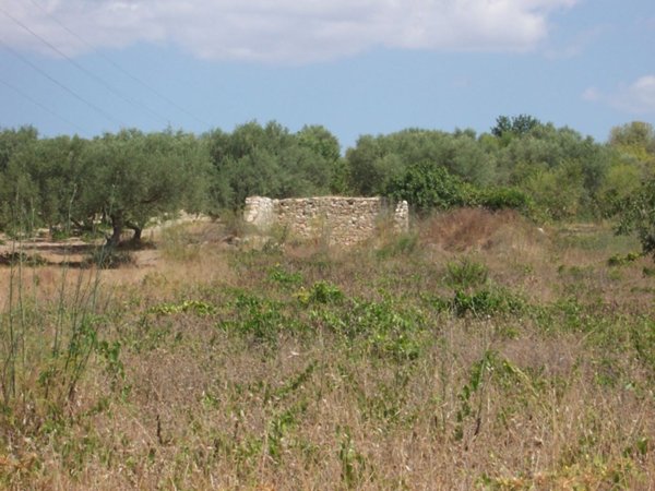 terreno agricolo in vendita a Noto in zona San Lorenzo
