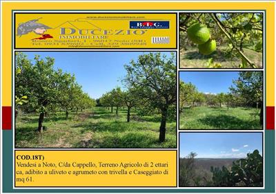 terreno agricolo in vendita a Noto