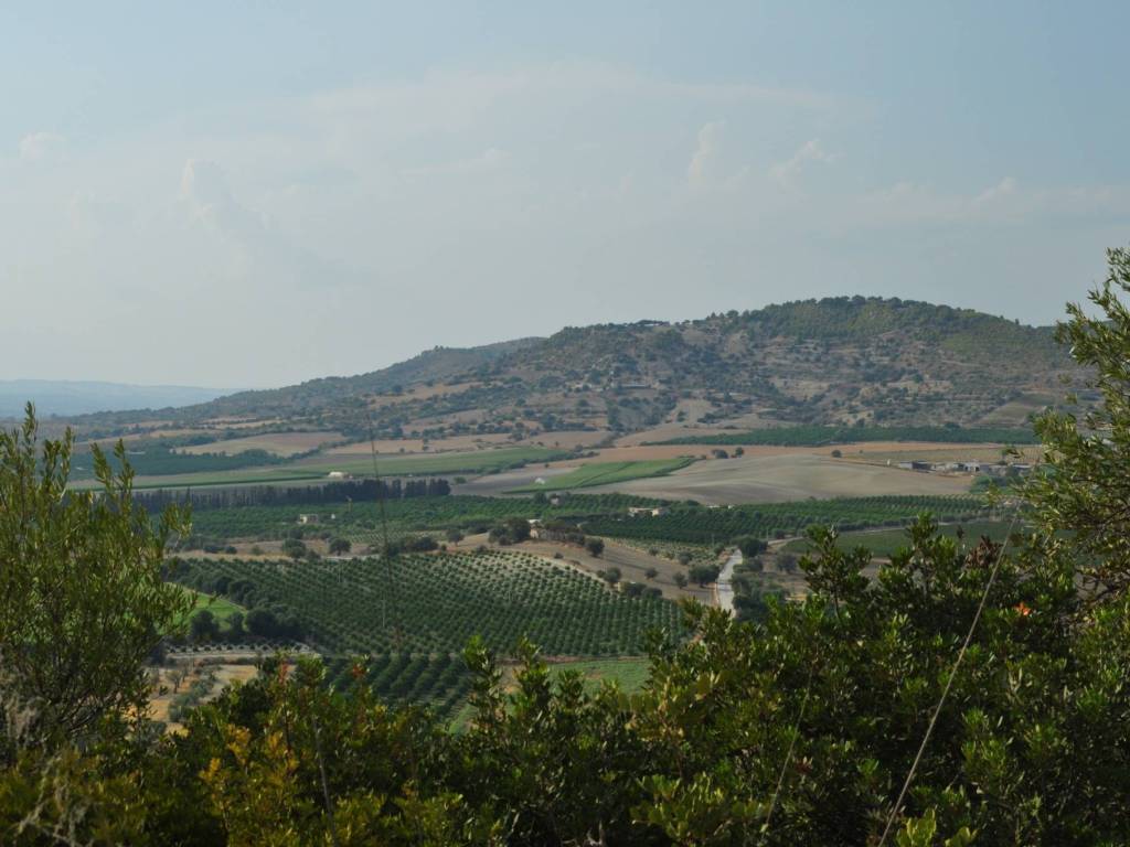 terreno agricolo in vendita a Noto