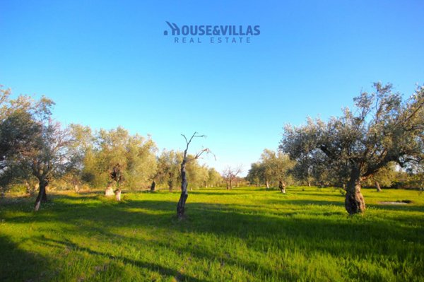 terreno agricolo in vendita a Noto in zona Falconara
