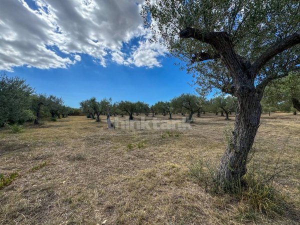 casa indipendente in vendita a Noto