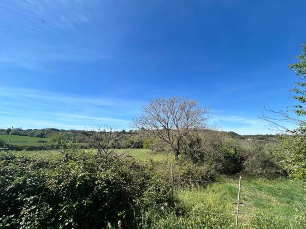 terreno agricolo in vendita a Noto in zona Baulì