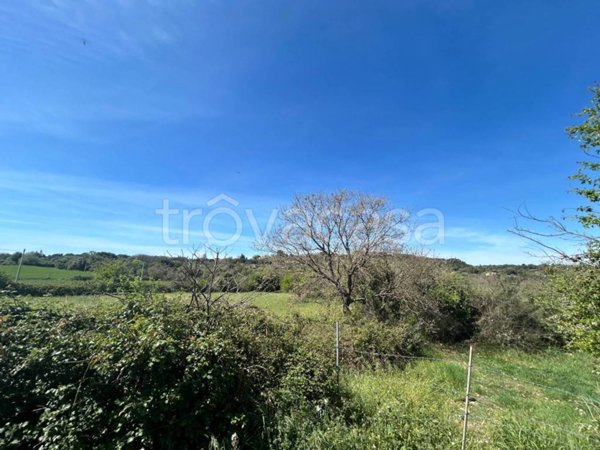 terreno agricolo in vendita a Noto in zona Baulì