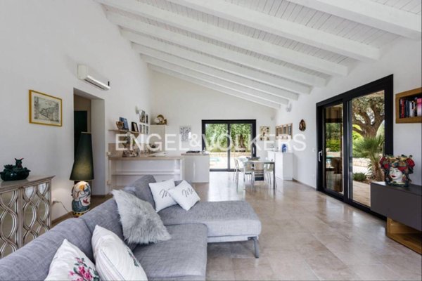 immagine annuncio 0 di 15