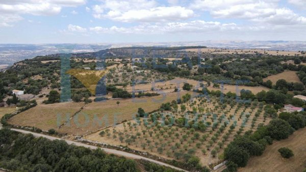 terreno agricolo in vendita a Noto