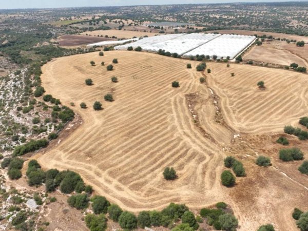terreno agricolo in vendita a Noto