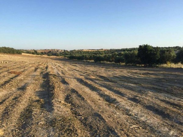 terreno agricolo in vendita a Noto