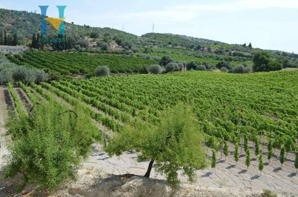 casa indipendente in vendita a Noto in zona Vendicari