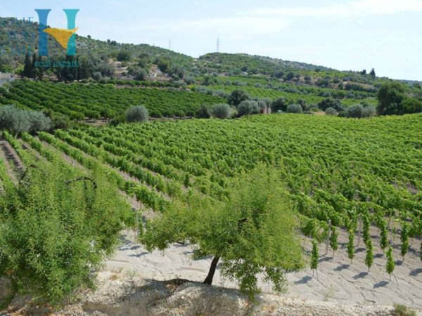 casa indipendente in vendita a Noto in zona Vendicari