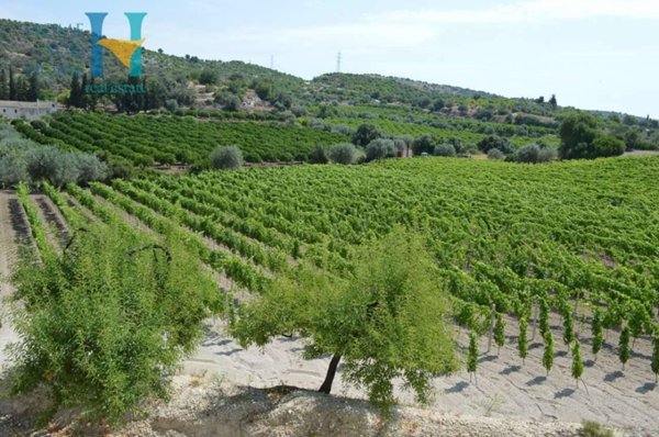 casa indipendente in vendita a Noto in zona Vendicari