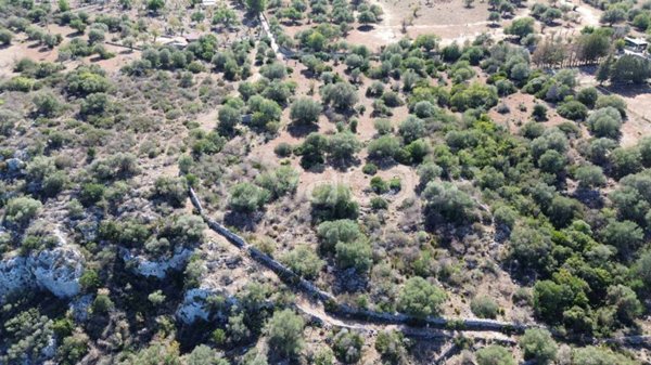 terreno agricolo in vendita a Noto in zona Lido di Noto