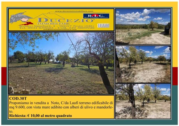 terreno agricolo in vendita a Noto