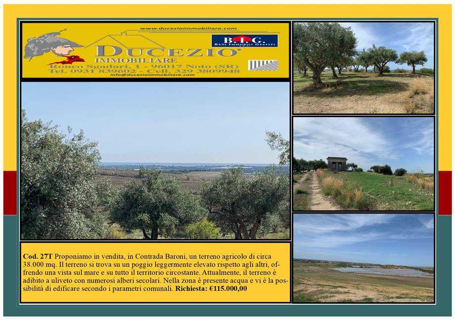 terreno agricolo in vendita a Noto