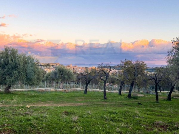 terreno agricolo in vendita a Noto