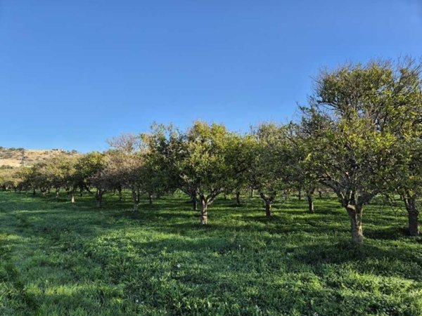 casa indipendente in vendita a Noto in zona Vendicari