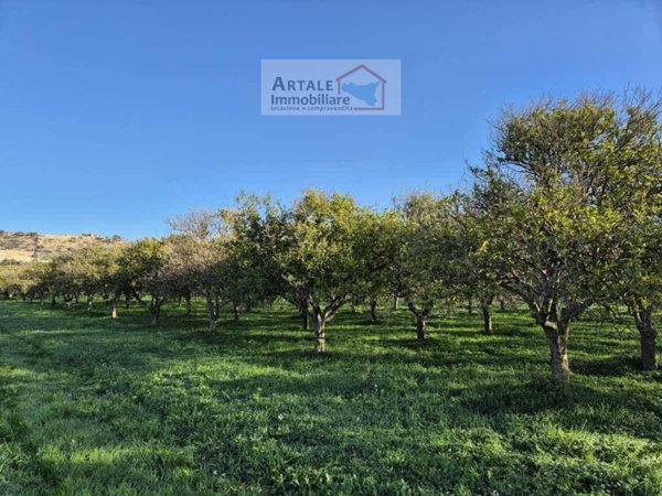 casa indipendente in vendita a Noto in zona Vendicari