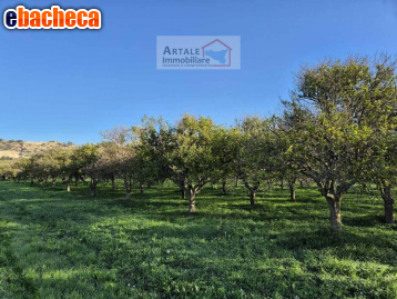 casa indipendente in vendita a Noto in zona Vendicari