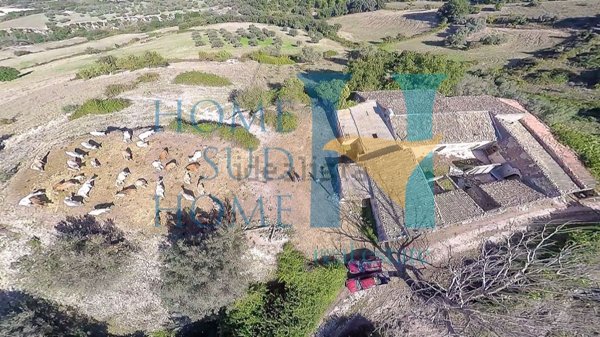 terreno agricolo in vendita a Noto in zona Vendicari