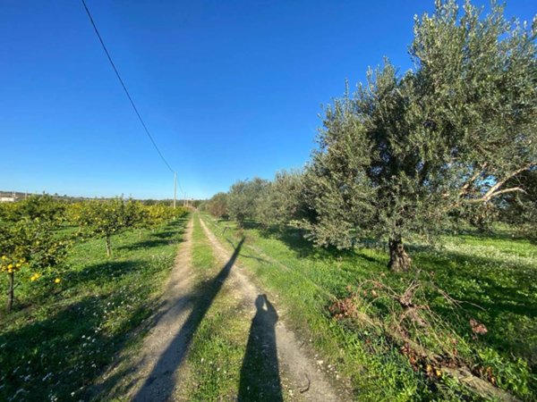 casa indipendente in vendita a Noto