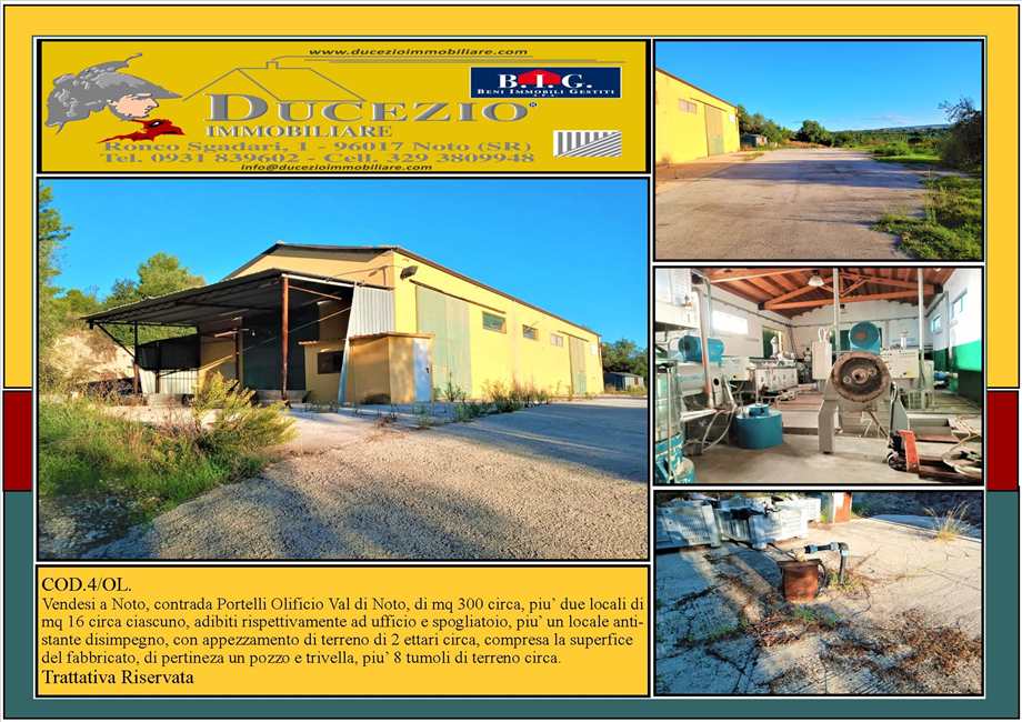 azienda agricola in vendita a Noto