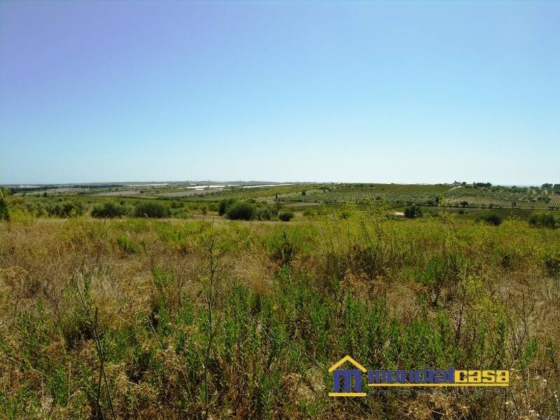 azienda agricola in vendita a Noto