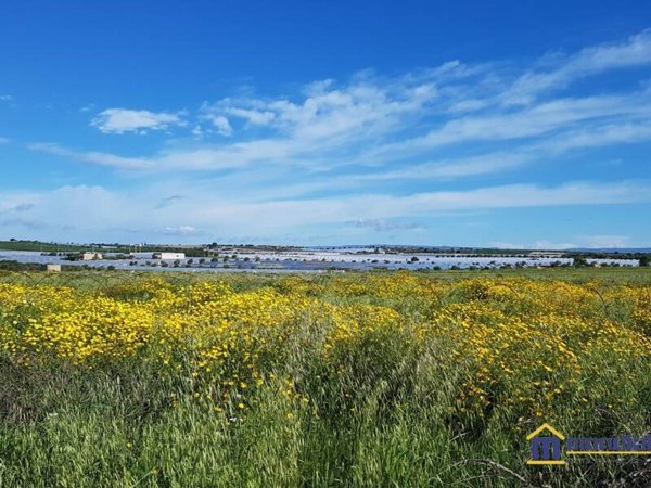 azienda agricola in vendita a Noto