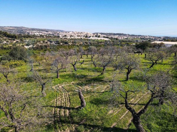 terreno agricolo in vendita a Noto