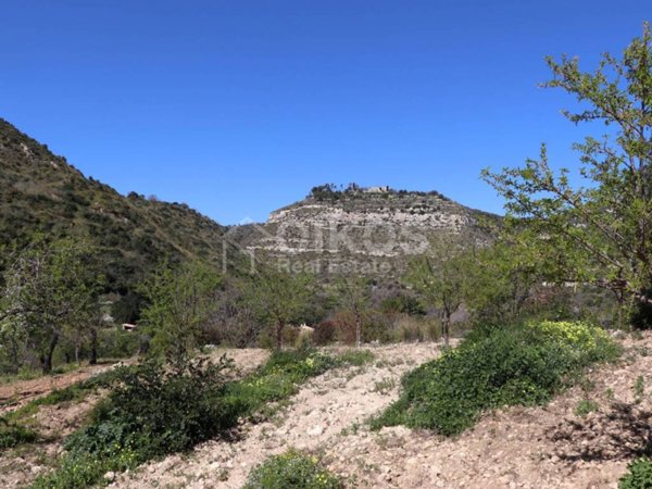 terreno agricolo in vendita a Noto