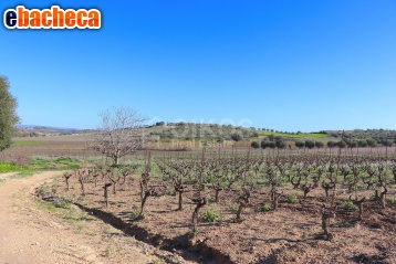 casa indipendente in vendita a Noto