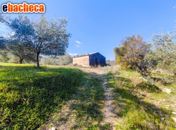 appartamento in vendita a Noto