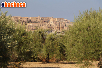 terreno agricolo in vendita a Noto in zona Madonna Marina