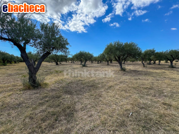 casa indipendente in vendita a Noto