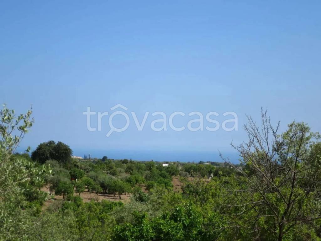 terreno agricolo in vendita a Noto