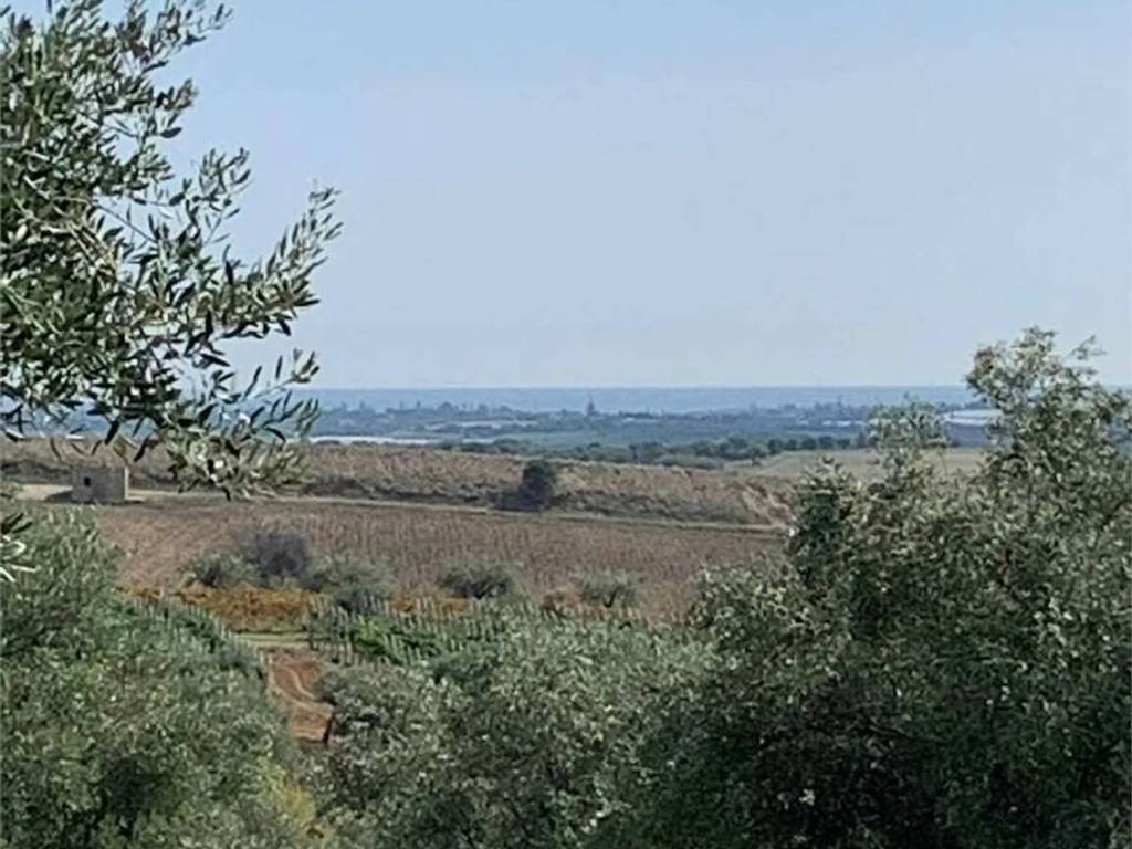 terreno agricolo in vendita a Noto