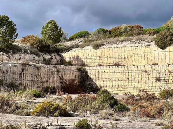 terreno agricolo in vendita a Noto in zona San Corrado di Fuori