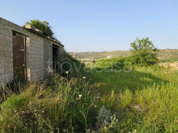 terreno agricolo in vendita a Noto